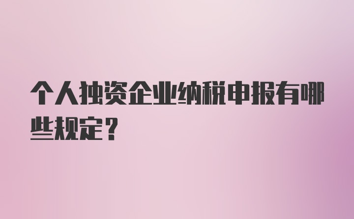 个人独资企业纳税申报有哪些规定？