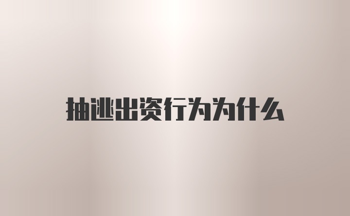 抽逃出资行为为什么