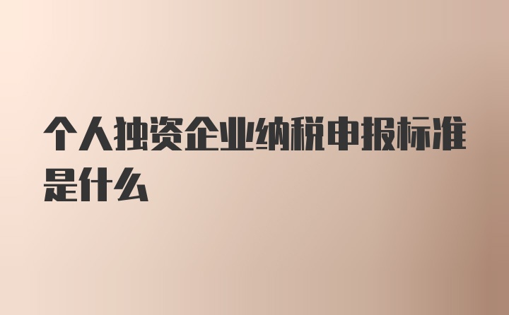 个人独资企业纳税申报标准是什么