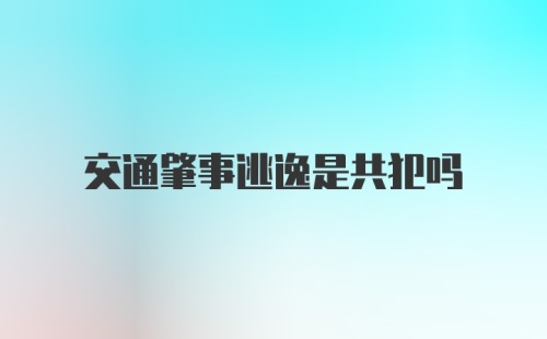 交通肇事逃逸是共犯吗