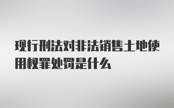 现行刑法对非法销售土地使用权罪处罚是什么