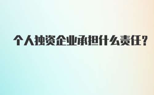 个人独资企业承担什么责任？