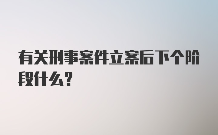 有关刑事案件立案后下个阶段什么？