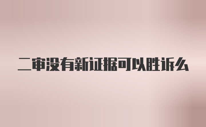 二审没有新证据可以胜诉么