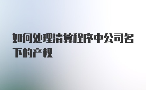 如何处理清算程序中公司名下的产权