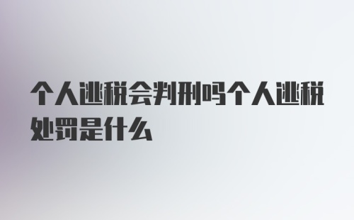 个人逃税会判刑吗个人逃税处罚是什么