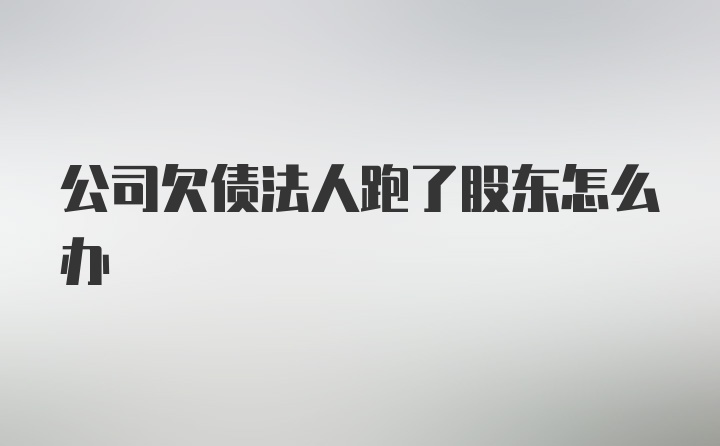 公司欠债法人跑了股东怎么办