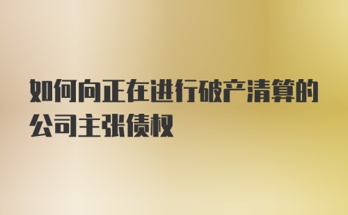 如何向正在进行破产清算的公司主张债权