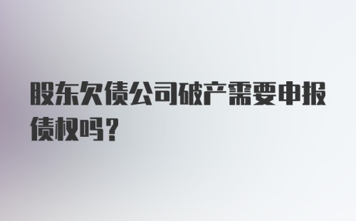 股东欠债公司破产需要申报债权吗？