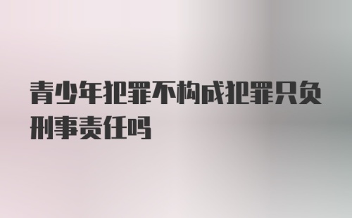 青少年犯罪不构成犯罪只负刑事责任吗