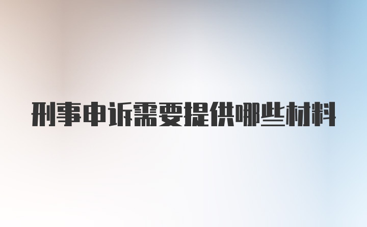 刑事申诉需要提供哪些材料