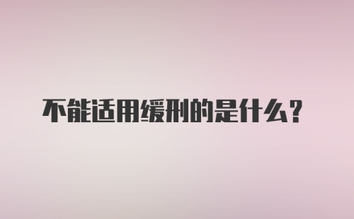 不能适用缓刑的是什么？