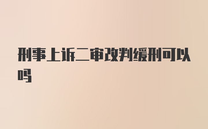 刑事上诉二审改判缓刑可以吗