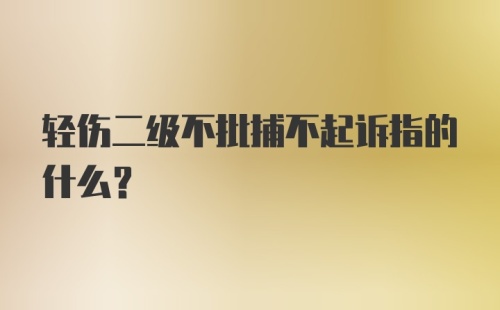 轻伤二级不批捕不起诉指的什么？