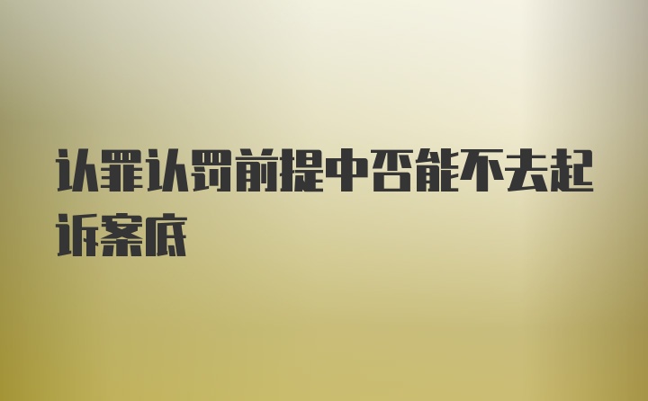 认罪认罚前提中否能不去起诉案底