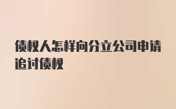 债权人怎样向分立公司申请追讨债权