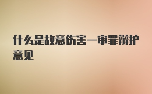 什么是故意伤害一审罪辩护意见