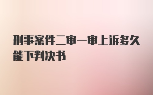 刑事案件二审一审上诉多久能下判决书