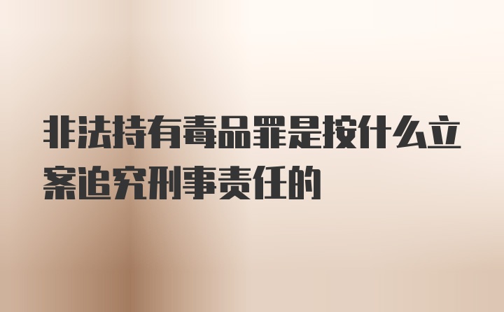 非法持有毒品罪是按什么立案追究刑事责任的