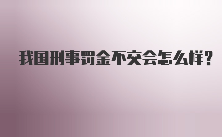 我国刑事罚金不交会怎么样?