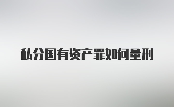 私分国有资产罪如何量刑