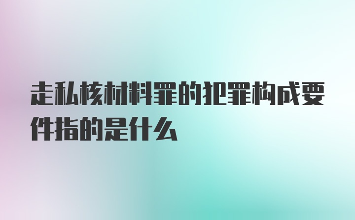 走私核材料罪的犯罪构成要件指的是什么