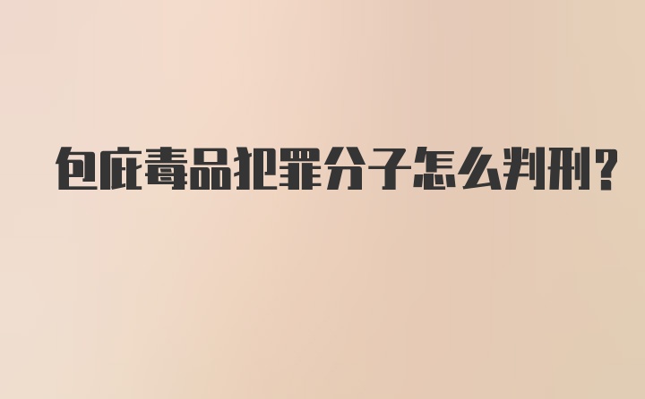 包庇毒品犯罪分子怎么判刑？