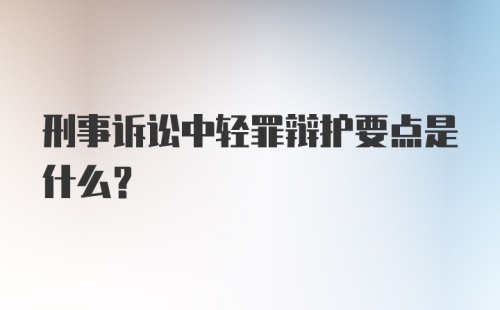 刑事诉讼中轻罪辩护要点是什么？