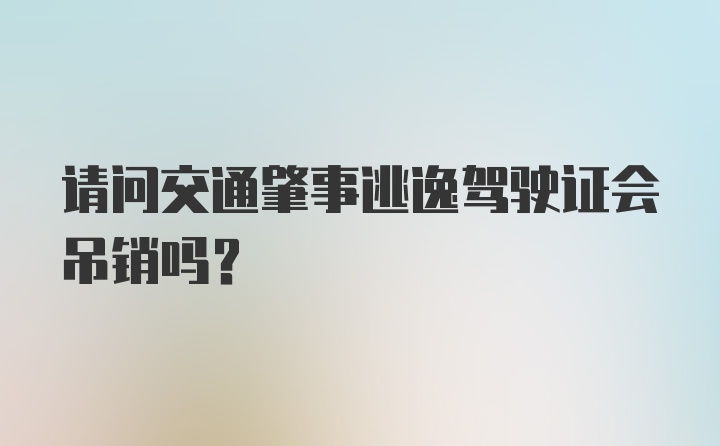 请问交通肇事逃逸驾驶证会吊销吗?