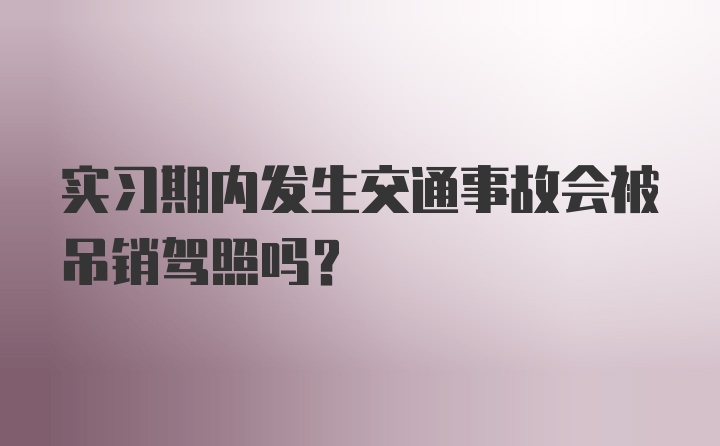 实习期内发生交通事故会被吊销驾照吗?