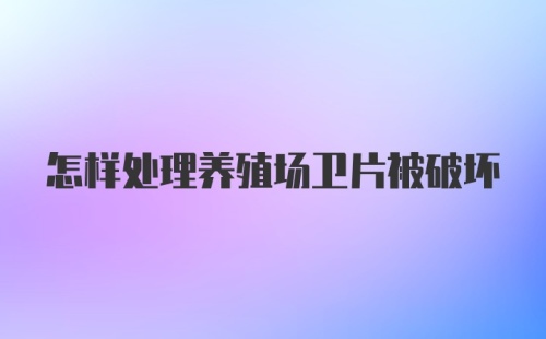 怎样处理养殖场卫片被破坏