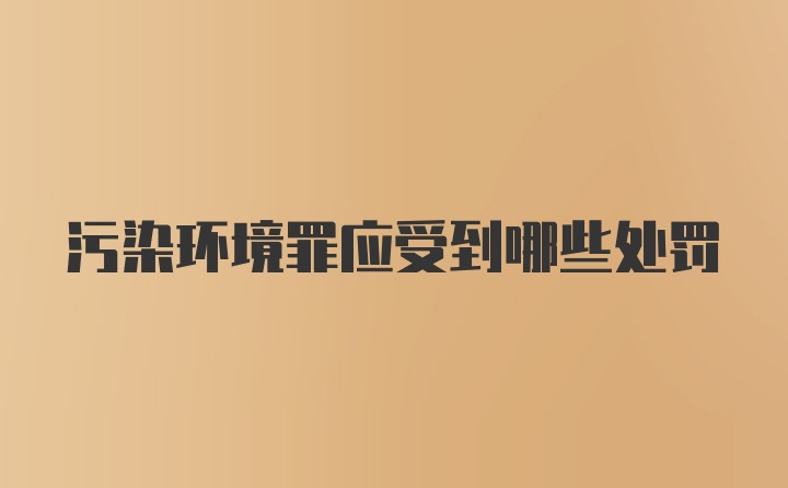 污染环境罪应受到哪些处罚