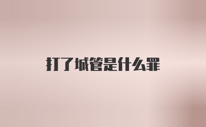 打了城管是什么罪