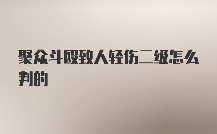 聚众斗殴致人轻伤二级怎么判的