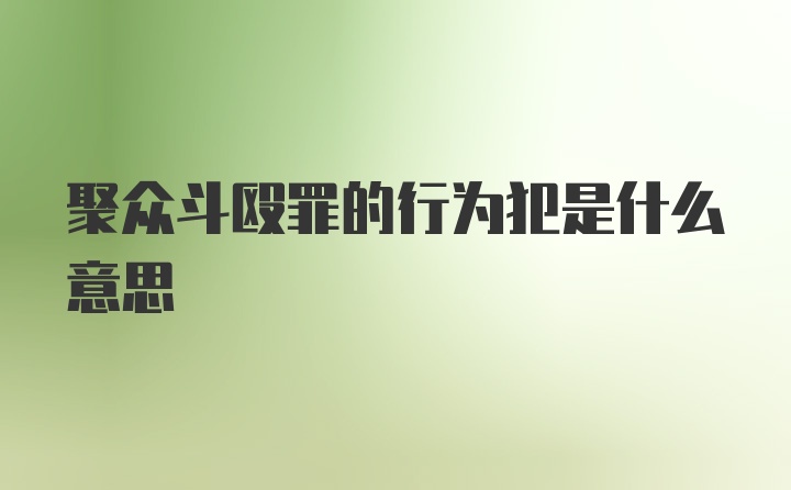 聚众斗殴罪的行为犯是什么意思