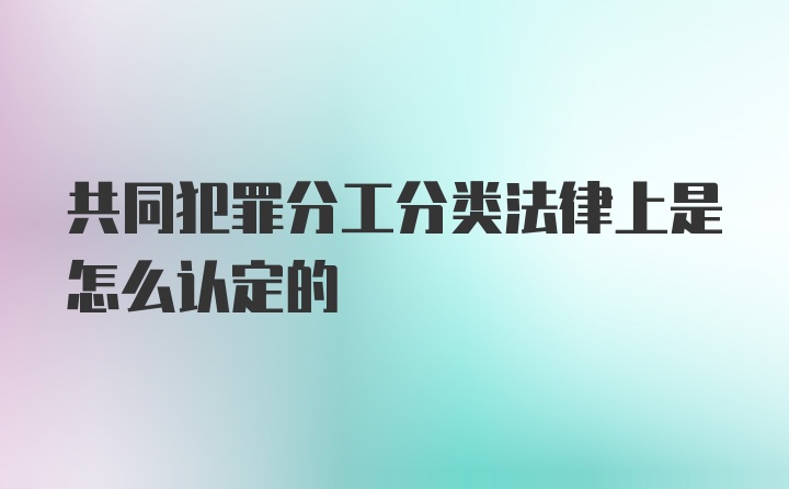 共同犯罪分工分类法律上是怎么认定的