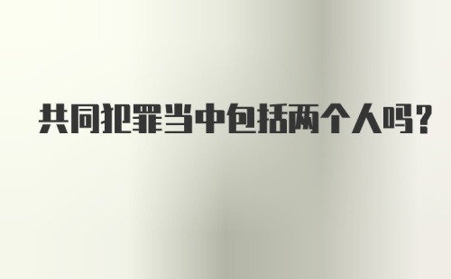 共同犯罪当中包括两个人吗？