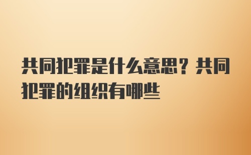 共同犯罪是什么意思？共同犯罪的组织有哪些