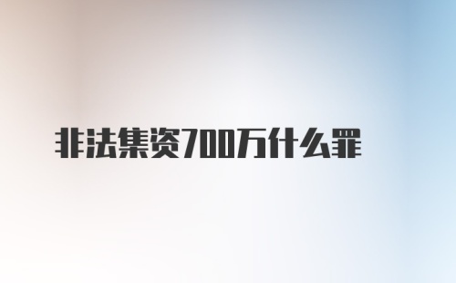 非法集资700万什么罪