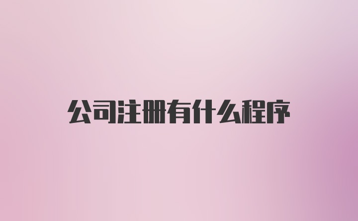 公司注册有什么程序