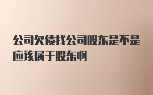 公司欠债找公司股东是不是应该属于股东啊