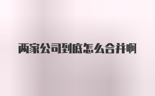 两家公司到底怎么合并啊