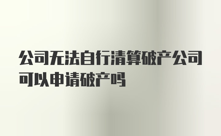 公司无法自行清算破产公司可以申请破产吗