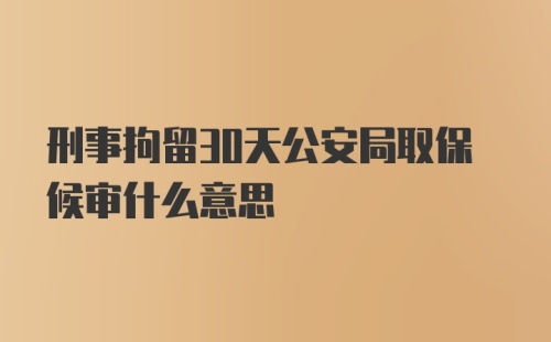 刑事拘留30天公安局取保候审什么意思