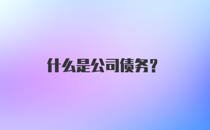 什么是公司债务?