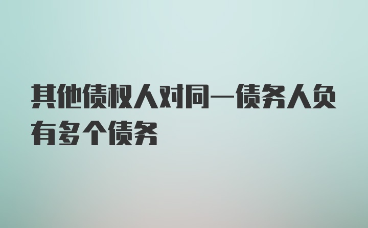 其他债权人对同一债务人负有多个债务