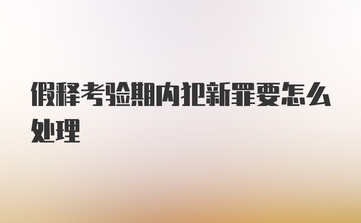 假释考验期内犯新罪要怎么处理