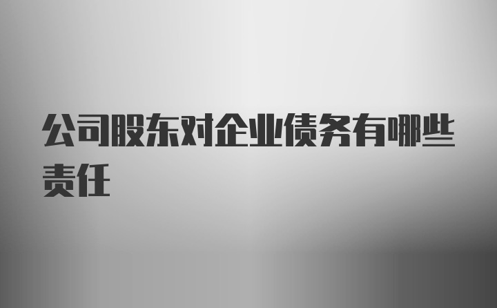 公司股东对企业债务有哪些责任