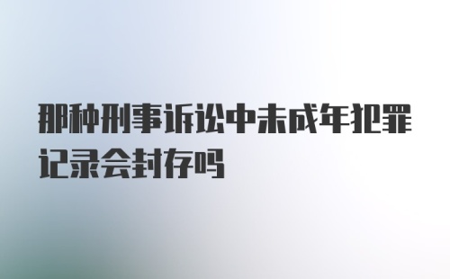 那种刑事诉讼中未成年犯罪记录会封存吗