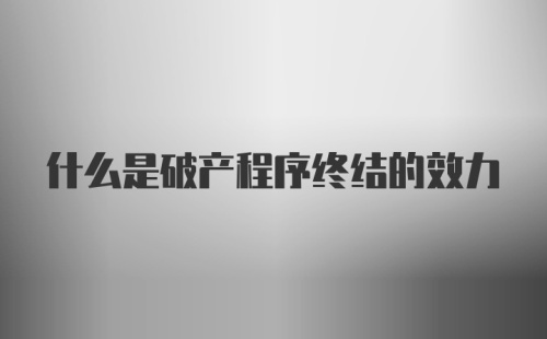 什么是破产程序终结的效力